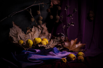 Still life. Background. Phyto composition. Desktop screensaver. Autumn leaves of the plane tree. Fabric drapery. Drapery made of purple, lilac, burgundy fabric. Withered fruits of Chinese quince.