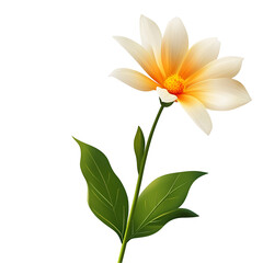 Obraz premium flower isolated on white background