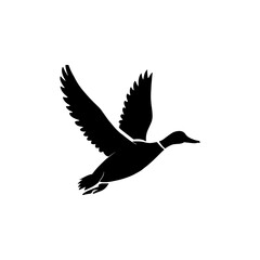 Fototapeta premium Mallard duck flying isolated on white background. Duck icon vector illustration design, A duck vector illustration silhouette.