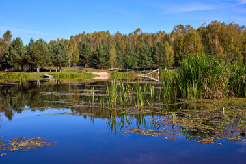 Obraz premium Serene Lake View with Lush Greenery and Clear Sky