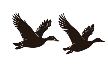 Obraz premium Two silhouetted ducks in flight, showcasing their wings and body shape.