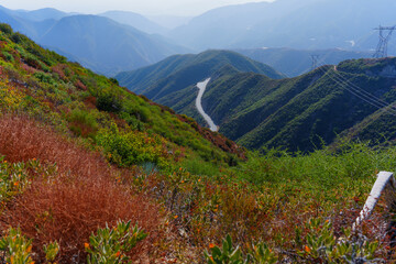 Scenic Viewpoint in Angeles National Forest, Southern California