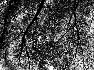 black and white background