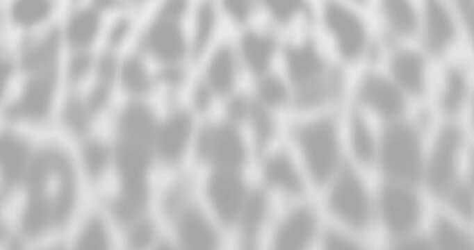 Shadows on white background, abstract and simple motion design, empty room interior