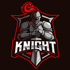 Modern professional Knights Sword and Shield logo design template