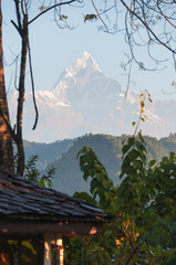 mountain and blossoms