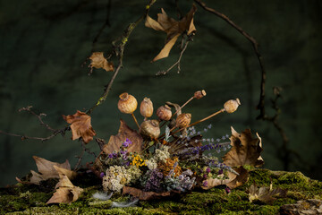 Still life. Background. composition. Desktop screensaver. Poppy fruits. A branch of leaves. Feathers of wild birds.