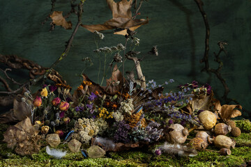 Still life. Background. composition. Desktop screensaver. Poppy fruits. A branch of leaves. Feathers of wild birds.