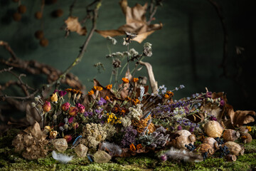 Still life. Background. composition. Desktop screensaver. Poppy fruits. A branch of leaves. Feathers of wild birds.