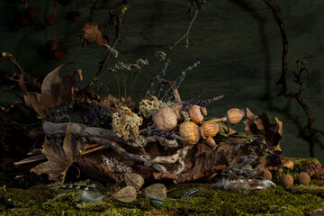 Still life. Background. composition. Desktop screensaver. Poppy fruits. A branch of leaves. Feathers of wild birds.