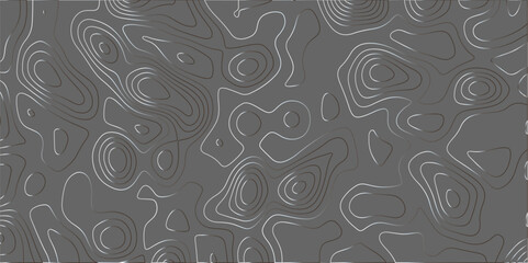 Abstract white, gray topography vector background. Line topography map design. Gray wave paper curved reliefs abstract topo pattern background. Business concept. Vector illustration. 