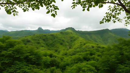 Obraz premium Nature in it's healthiest way. Green, mountains. emerald-colored surroundings. Life is beyond everything. Infinity