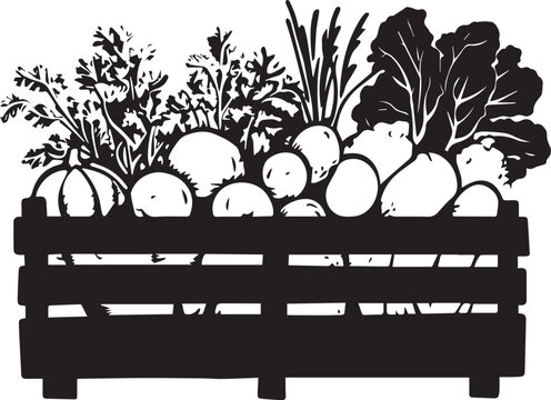 Fresh organic farm vegetable black and white