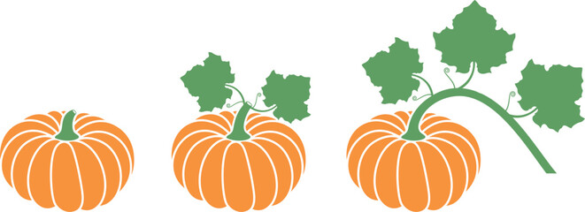 Pumpkin logo. Isolated pumpkin on white background. Patisson