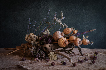 Still life. Background. Phyto composition. Desktop screensaver. Phyto design. Poppy fruits. Poppy heads. Dry flowers. Medicinal plants. Field flowers.