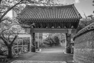 Busan, South Korea - October 13 2024 "Millac area during the morning sunrise in Busan"