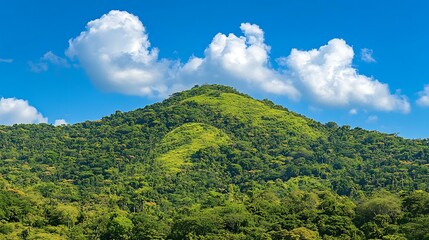 Fototapeta premium Green Mountain Landscape Under Sunny Sky