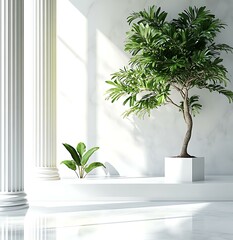 Elegant Interior Design with Plants