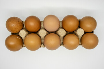 eggs white background