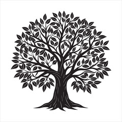 Fototapeta premium Symmetrical Tree with Broad Canopy Vector Illustration in Black and White
