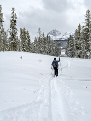 Cross Country skier in the Idaho wilderness in winter