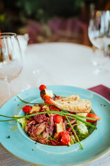 Vegetable and grilled meat salad with cheese skewers and toast. Healthy dish, organic food.