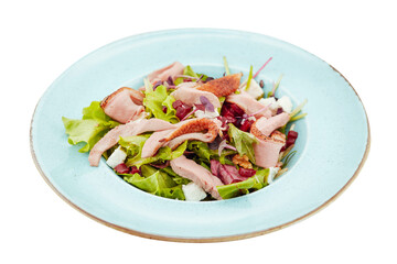 Fresh salad with roast turkey, white background