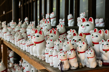 招き猫のお供え