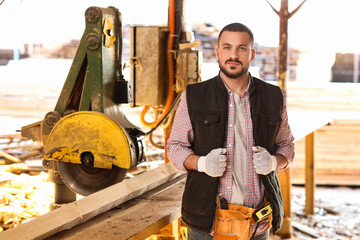 Portrait of young carpenter at sawmill