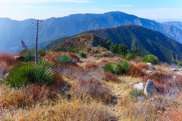 Stunning Hike Through California Mountains with Vibrant Vegetation