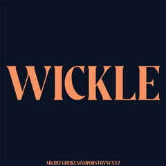 sophisticated luxury and elegant font glamour style