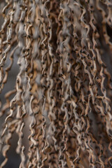 Intricate strands of natural fibers create a mesmerizing display of texture and form in a rustic setting