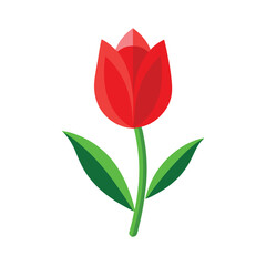 Red Tulip Vector Illustration - Cartoon, Clipart, Line Art Design for Print.eps