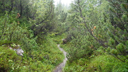 Obraz premium Karwendel