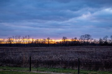 Obraz premium sunset in the country