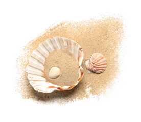 Composition with beautiful seashells and sand isolated on white background