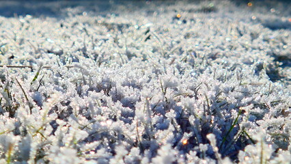 Rasen, Raureif auf Rasen