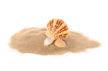 Heap of sand with beautiful seashells on white background