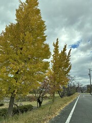 Japan landscape background