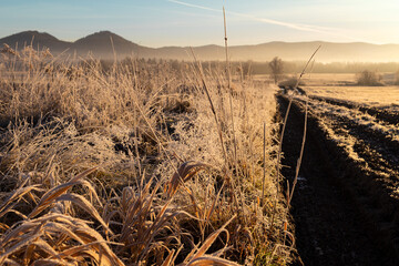 Sunrise in Rudawy Janowickie. Frozen grass in the sun's rays. Country road