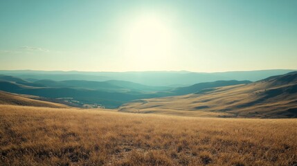 Obraz premium Panoramic Landscape of Sunflower Fields at Daylight