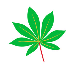 draw cassava leaves