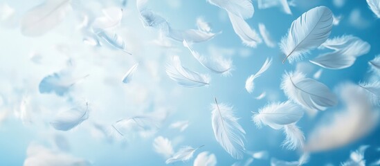 Delicate white feathers gently drifting and floating in a serene dreamlike sky with wispy clouds creating a calming and peaceful atmosphere  The soft airy plumes convey a sense of lightness grace