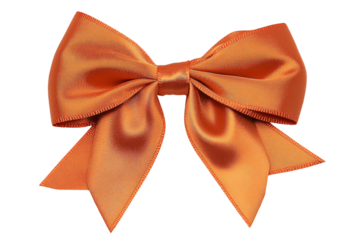 Isolated Orange Bow