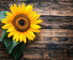 Obraz premium A bright yellow sunflower placed on a rustic wooden table.