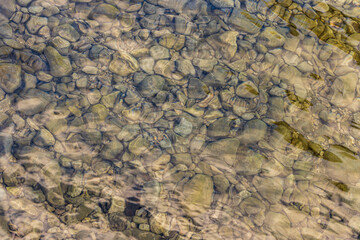 Clear Water Flowing Over Smooth Riverbed Stones in Nature