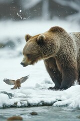Obraz premium Brown bear, small bird, snowy riverbank, winter scene.