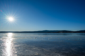 Winter sunny day at a frozen lake with ice floes