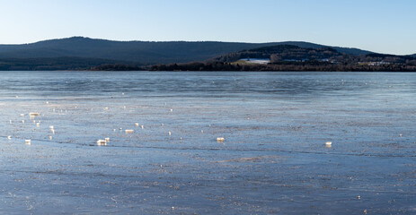 Winter sunny day at a frozen lake with ice floes