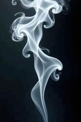 Fototapeta premium Ethereal white smoke swirls, abstract shapes on black , moody, abstract